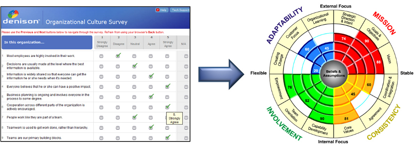 organizational culture survey